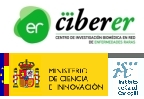 logo_ciberer